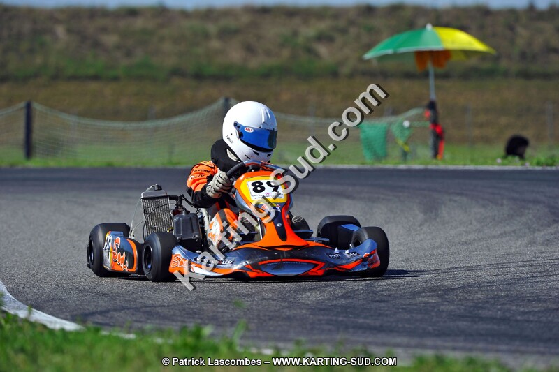 DSC_ (1631).jpg